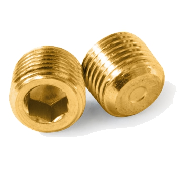 Brass Socket Pipe Plug